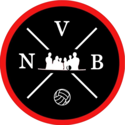 Logo Niort volley ball